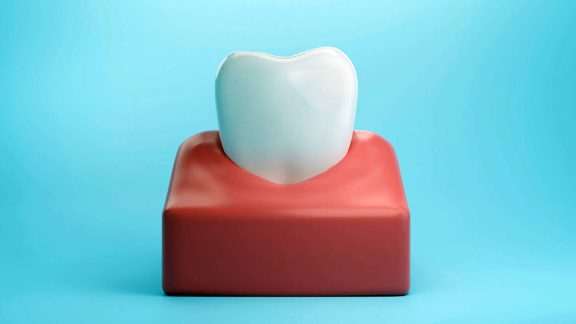 Do Gums Renew Themselves